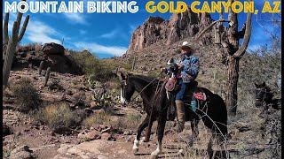 MTN Biking Gold Canyon, AZ - Technical, CHUNKY & Beautiful! ♦Lost Goldmine, K-Trail & Phantom Trail