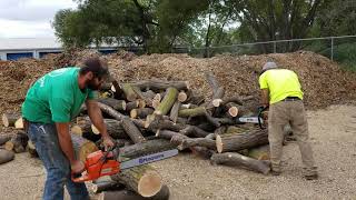 Husqvarna 460 rancher vs Stihl MS461