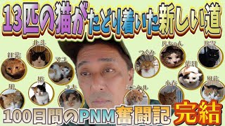 【PNM活動完結編】13匹の猫たちがたどり着いた新しい道