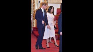 The Duchess wears Prada Meghan stuns in a pale pink two piece at Buckingham Palace