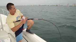 I Wasn't Ready... GIANT Fish Vs. LITTLE PINK Reel