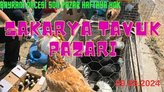 09.06.2024 Sakarya tavuk pazarı