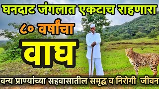 घनदाट जंगलात एकट्यानेच आयुष्य जगणारा ८० वर्षांचा वाघ । वन्यप्राण्यांच्या सहवासातील जीवनप्रवास 🌳🐆