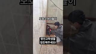 유기견친구들은길에서떠돌이생활을하거나학대구조되는경우사람의손길이무서워요-명인고학생들의노력으로사람과의교감연습중입니다-명인고학생들감사합니다!#성주보호소#강아지#유기견#포인핸드