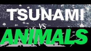 Martin Garrix Animals Vs DVBBS Tsunami 1 Hour