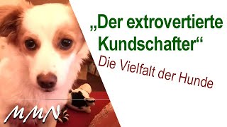 Die Vielfalt der Hunde - Der extrovertierte Kundschafter - Portrait - von Maja Nowak