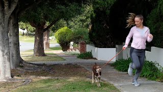 Benefits of Street Trees