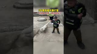 3岁男孩和大鹅打架  一招锁喉