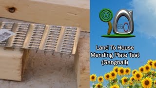 Mending Plate Test - Gangnail