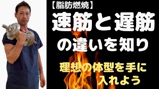 【有益】速筋と遅筋の違いを知り理想の体型を手に入れる方法【脂肪燃焼】