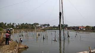 Pemancangan pondasi di dalam rawa dengan alat Drop Hammer....