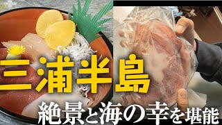 【愛犬と車中泊旅】家はハイエース！？三浦半島で絶景と海の幸を堪能してきました