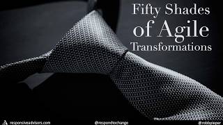 Fifty Shades of Agile Transformations