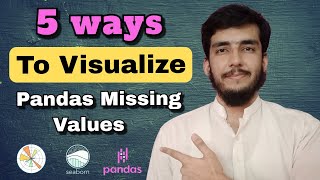 5 Ways to Visualize Missing Values in a Pandas DataFrame