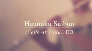 CheerS- ClariS [Hataraku Saibuo/Cells at Work] ED (Flute Cover)