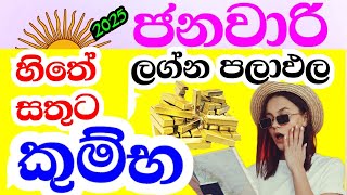 කුම්භ ලග්න හිමියන්ට කාලෙකින් සතුටු මාසයක් predictions  , 2025 Aquarius , #StarGuider ,