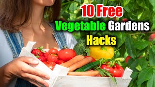 10 Free Hacks for Vibrant Vegetable Gardens | 10 Magical Hacks Without Spending a Dime