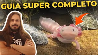 🔴NÃO TENHA AXOLOTES ANTES DE VER ESSE VÍDEO. ( GUIA COMPLETO )|Mr. Betta|