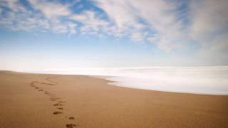 Guy Hovis : Footprints in the Sand