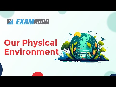 What is an example of a physical environment?