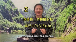 养蜜蜂，预防蟑螂，蚂蚁，鼻涕虫的方法在这 蜜蜂 养蜂技术分享