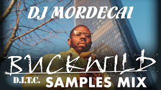 Buckwild Samples Mix video #samples #djmix