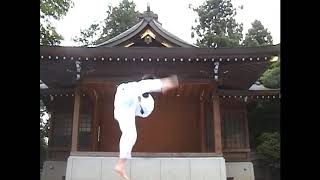 テコンドー安田会館(Taekwondo Yasuda Kaikan) 태권도 야스다 도장