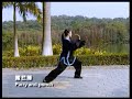 56 forms chen style tai chi chuan