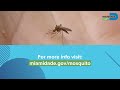 mosquito prevention social media video