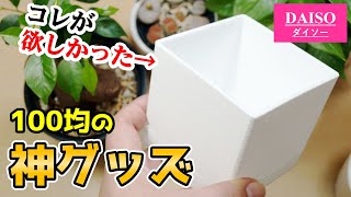 理想の”100均グッズ”に観葉植物を植え替えると・・・【多肉植物】