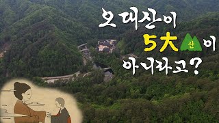 부처님도 반한 오대산의 비밀