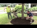 Effective Mulching