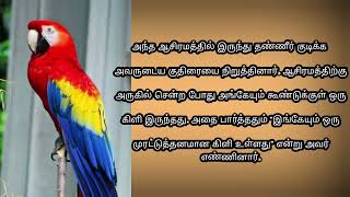 இரண்டு கிளிகள் | தமிழ் கதைகள் | Two Parrots | Tamil Short Stories