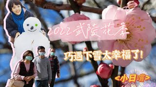 2022武陵農場花季！還巧遇武嶺大雪人！幸運的2022開端！一起更幸褔！＃家庭旅遊＃武陵農場＃武嶺下雪＃雪山登山口＃櫻花＃梅花＃楓葉＃富野度假飯店