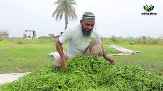 শীত গ্রীষ্ম বর্ষা, বিজলী গোল্ডই ভরসা