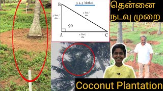 Coconut Plantation | தென்னங்கன்று நடவு & மார்க்கிங் thennai nadavu murai | #thennainadavu