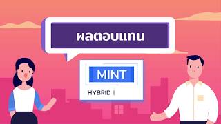 MINT : โอกาสในการลงทุนกับ บริษัท ไมเนอร์ อินเตอร์เนชั่นแนล จำกัด (มหาชน)