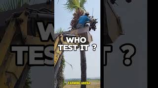 Who tested it! তাল খাওয়ার নিঞ্জা টেকনিক #Shorts #fruitcutting #viral