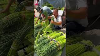 China Vegetable Seed Technology (Beijing) #shorts#garlic #agriculturaltechnology