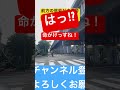 命がけ 信号無視 shorts