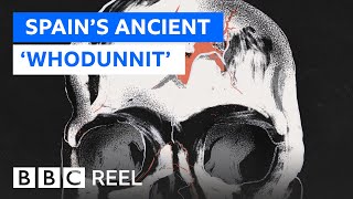 Have Archaeologists Found The Missing Link Bbc Reel