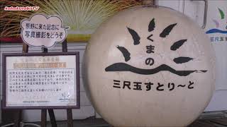 コハクタビと二木島　今回は熊野市駅周辺が主です