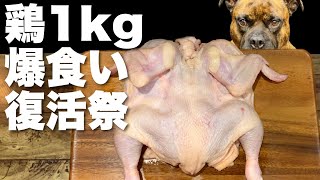 【大食い犬ASMR】パパが捌いた鶏を豪快に食べまくる愛犬www【飯テロ/MUKBANG】