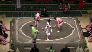 湘南乃海-翔天狼/2017.5.16(7)/shonannoumi-shotenro/day3 #sumo