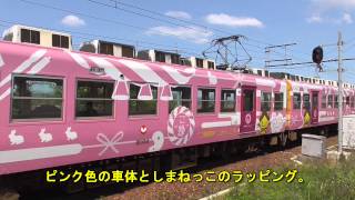 ご縁電車”しまねっこ号”Love relationship train\