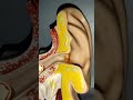 تنظيف الأذن وعلاج الأذن المسدودة أداة إزالة شمع الأذن بسهولةear cleaning and clogged ear treatment