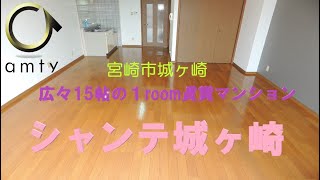 【不動産アンティ】シャンテ城ヶ崎　405号　広々15帖のお部屋がGood！！室内リフォーム済で大変綺麗なお部屋(∩´∀｀)∩