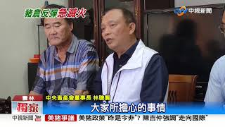 摸頭? 農委會兵分多路 南下養豬縣市\