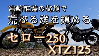 セロー250 秘境で荒ぶる魂を鎮めてきた!宮崎県椎葉の巨樹大久保のヒノキYAMAHA XTZ125