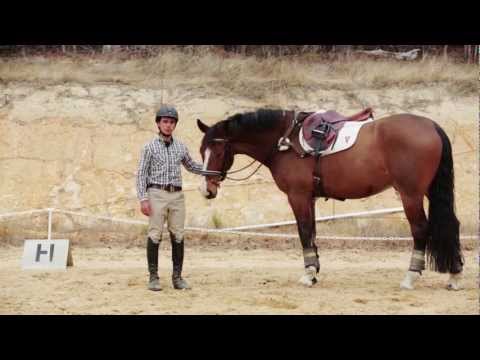 How to deal with a Spooky Horse How to deal with a Spooky Horse